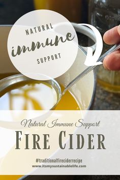 Fire Cider Recipe, Homemade Lotions, Rosemary Gladstar, Natural Immune Support, Herbal Health, Homestead Life, Fire Cider, Digestive Juice, Cider Recipe