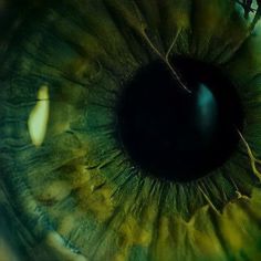 an extreme close up view of the iris of a green eye