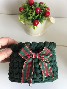 a hand holding a green knitted blanket with a red bow on it and a potted plant in the background