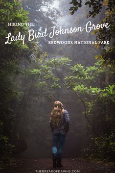 a woman walking down a trail in the woods with text overlay reading hiking the lady bird johnson grove redwoods national park