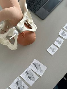 a dummy being held over by someone's hands on a desk with papers and laptops