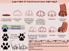 how to draw an animal's paw and claws in two different ways, with instructions for