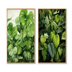 two paintings of green plants with leaves on the same wall, one is framed in wood