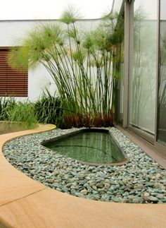 a small pond in the middle of a garden with rocks and plants around it, surrounded by glass doors