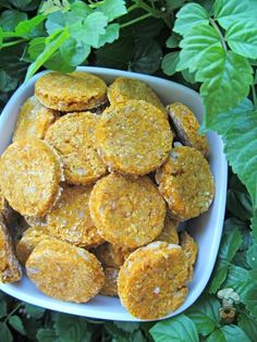 a white bowl filled with cookies on top of green leaves