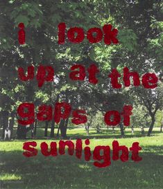 the words i look up at the caps of sunlight are written in red on green grass