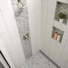 a shower with two niches on the wall and a plant in the corner next to it