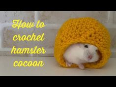 a white rat in a yellow crochet hat with the words how to crochet hamster cocoon