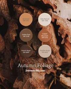 the autumn foliage color palette is shown in shades of brown, beige, and white