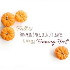 Fall Tanning Quotes, Fall Spray Tan Quotes, Tanning Salon Quotes, Spray Tan Post Ideas, Tanning Signs, Tanning Marketing, Schedule Quotes, Tanning Quotes Funny, Tanning Specials