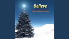 a christmas tree with the words believe on it