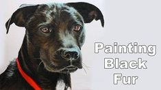 a painting of a dog with the words painting black fur