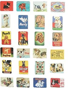 many different types of dogs are shown in this collage from the 1950's and 1960s's