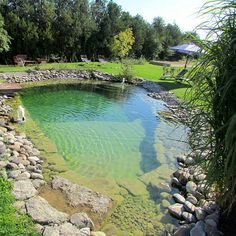 there is a pond with rocks in the water and green grass on the ground next to it