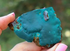 a person holding a piece of food with blue icing and green stuff on it