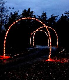 just lights christmas tree