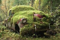 an old car covered in moss sitting in the woods