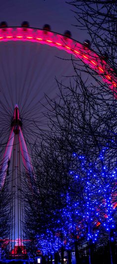 a ferris wheel lit up at night with trees in the foreground and lights all around it