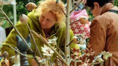 an older woman is looking at the flowers on a tree with other people in the background