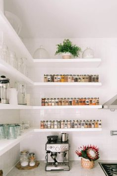 a kitchen with shelves filled with spices and jars on top of the stovetop, next to a potted plant