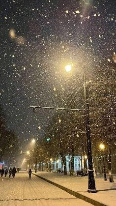 people are walking in the snow at night on a city street with lights and trees