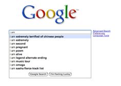 an image of the google search page for someone's personal information system, which has been