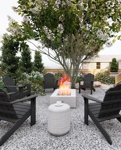 an outdoor fire pit surrounded by black chairs and a tree with white flowers in the background