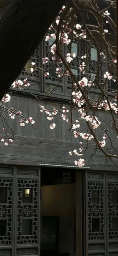 a tree with white flowers is in front of a building that has ornate doors and windows