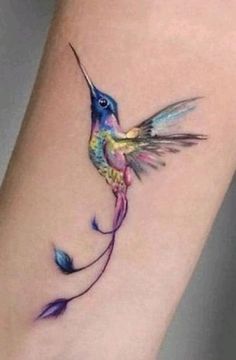 a colorful hummingbird tattoo on the arm and leg, with blue flowers around it