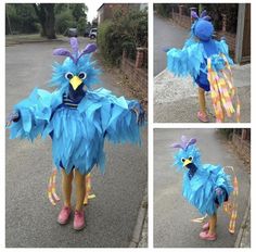 three pictures of a blue bird with yellow wings and legs, standing in the street