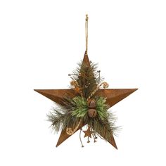 a metal star decoration with pine cones and evergreens hanging from it's side