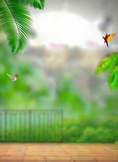 two birds flying over a lush green forest