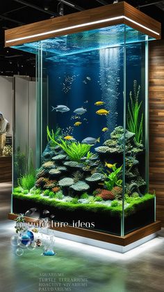 an aquarium with many different types of fish in it