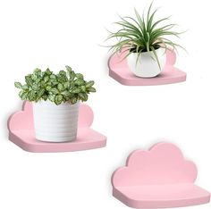 two pink shelves with plants and potted plants on them, one in the shape of clouds