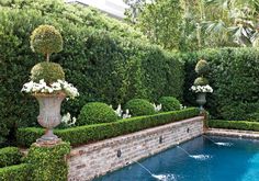 a pool surrounded by hedges and potted plants