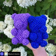 two crocheted teddy bears sitting next to each other in front of white flowers