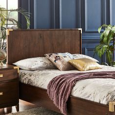 a bedroom with blue walls and a bed in the foreground is a plant on top of it