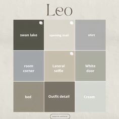 the words leo are in different colors and font, including grays, white, and grey