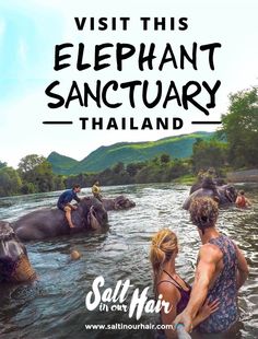 people are bathing elephants in the water with text reading visit this elephant sanctuary thailand