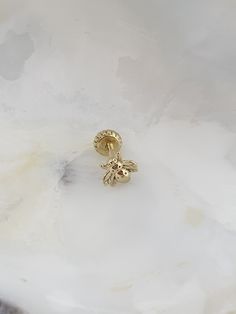 Labret Piercing Tragus Stud 14k solid gold Stud Length - 5mm. Gauge - 16g - 1.2mm Options Stud - 6mm-7mm-8mm-10mm Single 14k Yellow Gold Cartilage Earring, Yellow Gold Screw Back Piercings For Gifts, Yellow Gold Screw Back Piercings As Gift, 14k Yellow Gold Cartilage Earrings, 14k Yellow Gold Pierced Cartilage Earrings, 14k Yellow Gold Cartilage Earrings For Gift, 14k Gold Screw Back Jewelry, Gold Internally Threaded Piercings For Anniversary, Dainty 14k Gold Jewelry With Screw Back