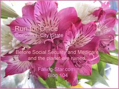 pink and white flowers with the words run for office congress city state before social security and medical care and the planet is ruined