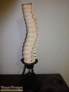 a tall bone is shown on a black stand