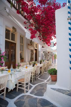 an outdoor dining area with tables and chairs, potted flowers on the outside wall