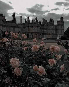 some pink roses in front of a large building