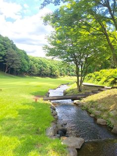 a small stream running through a lush green field next to a golf course with trees