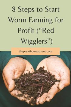 hands holding soil with the words 8 steps to start worm farming for profits red wiglers