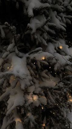 a tree covered in snow with lights on it