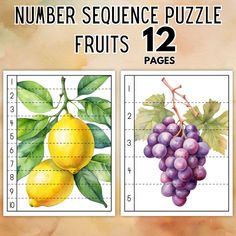 the number sequence puzzle has two pictures of grapes and lemons on each side, one with