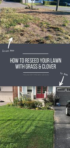 a lawn with grass that has been mowed and the words how to reseed your lawn with grass & clover