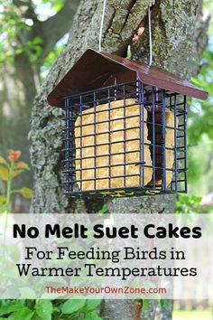 a bird feeder hanging from a tree with text overlay saying no melt suet cakes for feeding birds in warmer temperatures